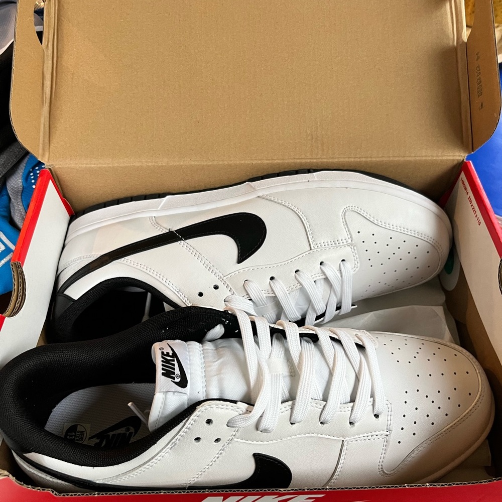 COPY - Nike SB Zoom Dunk Low Sneakers for men